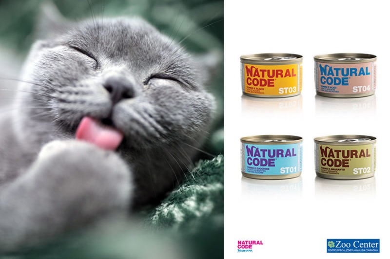 Miao, che pasto!
